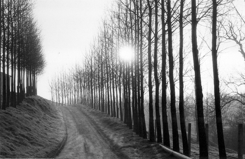 yvonloubelle-04