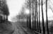 yvonloubelle-04